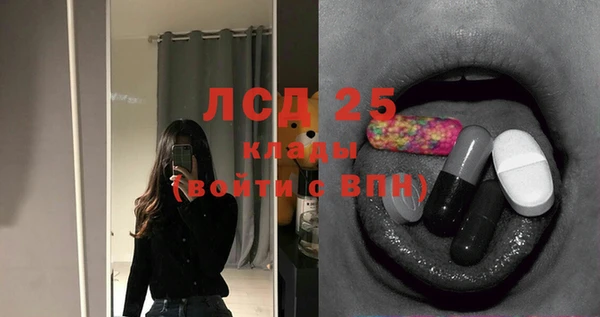 ГАЛЛЮЦИНОГЕННЫЕ ГРИБЫ Дмитриев