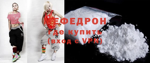 ГАЛЛЮЦИНОГЕННЫЕ ГРИБЫ Дмитриев