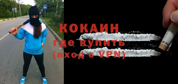 ГАЛЛЮЦИНОГЕННЫЕ ГРИБЫ Дмитриев