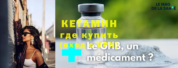 ГАЛЛЮЦИНОГЕННЫЕ ГРИБЫ Дмитриев