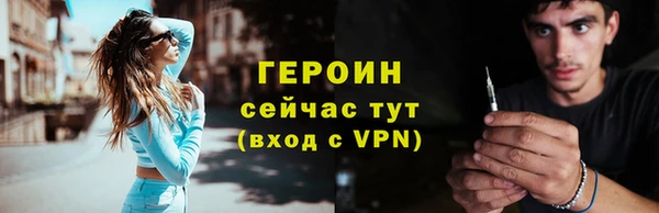 ГАЛЛЮЦИНОГЕННЫЕ ГРИБЫ Дмитриев