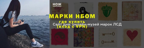 ГАЛЛЮЦИНОГЕННЫЕ ГРИБЫ Дмитриев