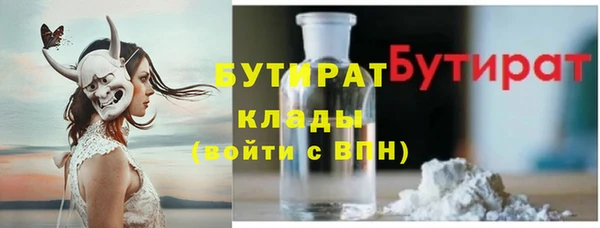 ГАЛЛЮЦИНОГЕННЫЕ ГРИБЫ Дмитриев
