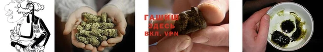 ГАЛЛЮЦИНОГЕННЫЕ ГРИБЫ Дмитриев