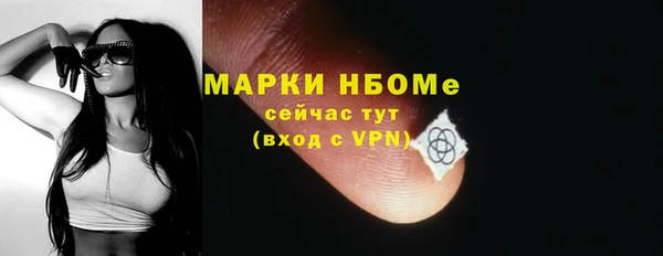 ГАЛЛЮЦИНОГЕННЫЕ ГРИБЫ Дмитриев