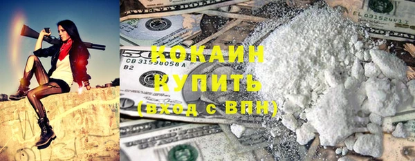ГАЛЛЮЦИНОГЕННЫЕ ГРИБЫ Дмитриев