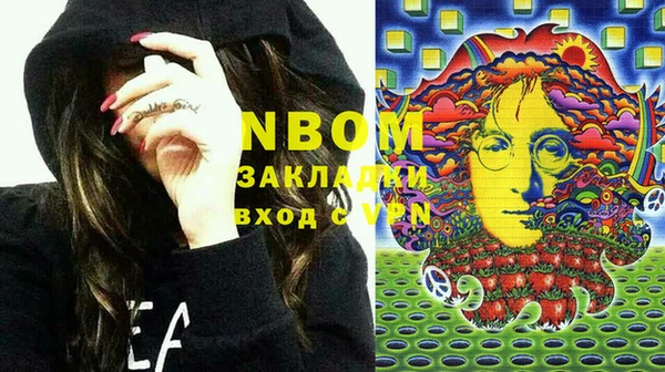 ГАЛЛЮЦИНОГЕННЫЕ ГРИБЫ Дмитриев