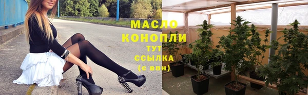 ГАЛЛЮЦИНОГЕННЫЕ ГРИБЫ Дмитриев